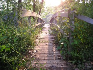 Fear, inertia and ignorance fail us. Start now and value the journey. 