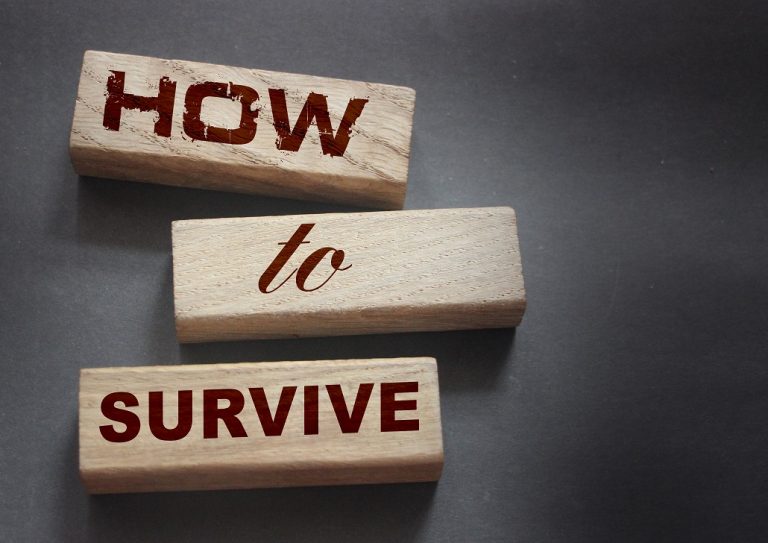 startup survival